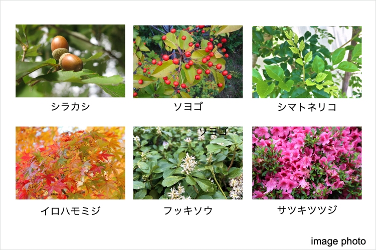 シティタワー東梅田パークフロントの植栽イメージ画像